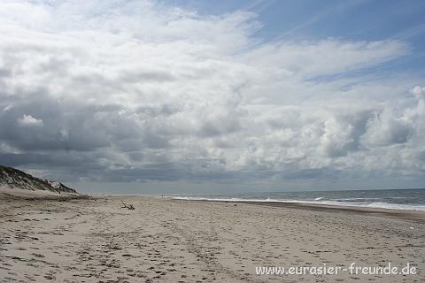 (Foto Goslar)_daenemark_2010_IMG_0020_Bjergborgstrand.jpg - Richtung Sden sah es immer sehr wolkig aus, deshalb zog es Herrchen und Frauchen immer weiter in den Norden